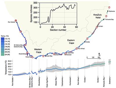 Seaweeds in Two Oceans: Beta-Diversity